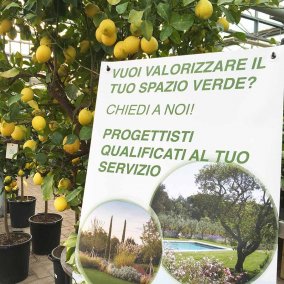 cartellone_promozionale_progetti